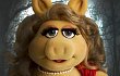 Poster Terbaru 'The Muppets' Parodikan 'The Twilight Saga's Breaking Dawn Part I'