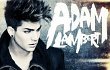 Adam Lambert Rilis Cover Single 'Better Than I Know Myself'