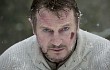 Film Petualangan 'The Grey' Terlaris di Amerika