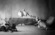 Trailer Bisu 'Ice Age: Continental Drift' Parodikan 'The Artist'