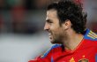 Cesc Fabregas Senang Larangan Akses Twitter Selama Piala Eropa Dihapus