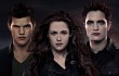 Taylor Lautner Pamer Poster 'Breaking Dawn 2' Lewat Twitter
