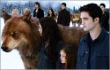 Film Review: Kejutan Tak Terduga dari 'Breaking Dawn 2'
