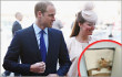 Intip Hadiah PETA untuk Bayi Kate Middleton dan Pangeran William