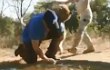Adam Sandler Merasa Hampir Mati Diserang Cheetah di Afrika