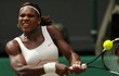 Serena Maju ke Final Setelah Tundukkan Li Na di Cincinnati Open