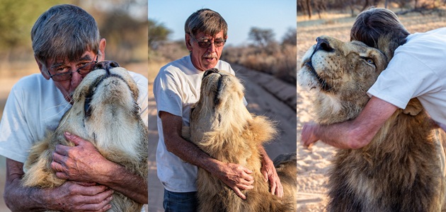Kakek Ini Rela Berbagi Ranjang dengan Singa Selama 11 Tahun
