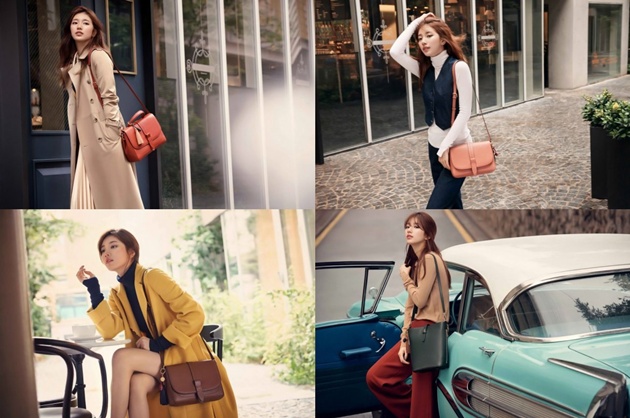 Suzy Bean Pole Accessory
