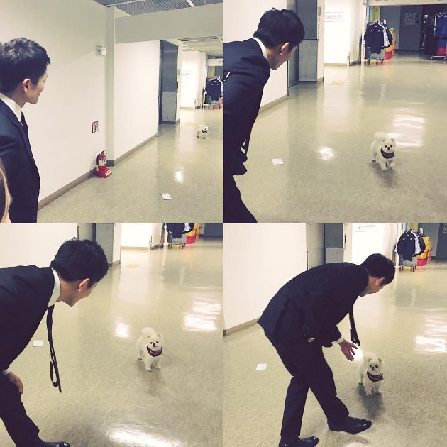 Syuting 'Defendant', Ji Sung Malah Sibuk Goda Anak Anjing