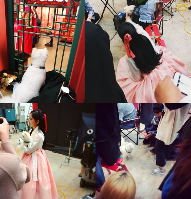 Yoo Seung Ho dan Kim So Hyun Malah Asyik Godain Anjing