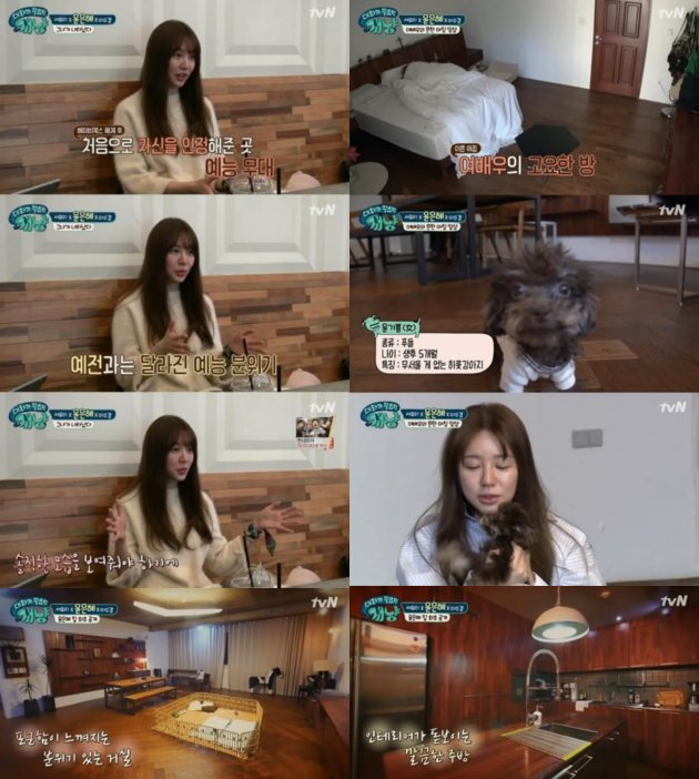 Perdana di Variety Show Usai 12 Tahun, Yoon Eun Hye Tunjukkan Rumah Pribadi