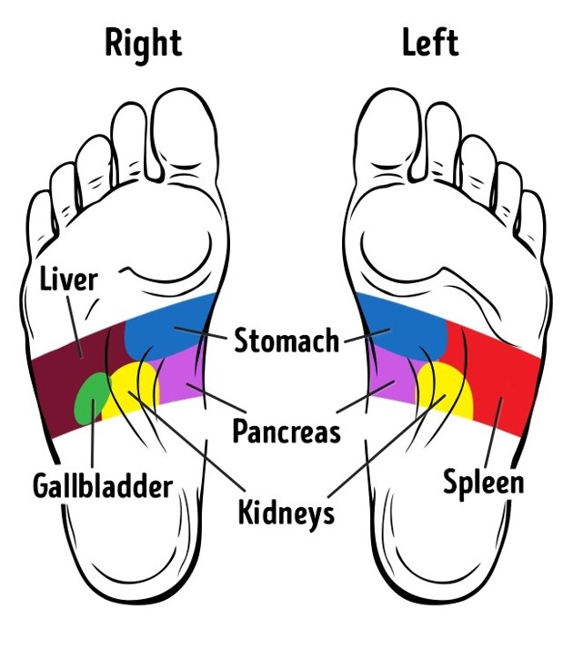 Ingin Tetap Sehat Dengan Cara Mudah Pelajari Titik Pemijatan Kaki Yang Mujarab Untuk Jaga Kebugaran