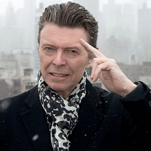 David Bowie Profile Photo