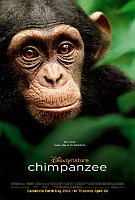 Chimpanzee (2012) Profile Photo